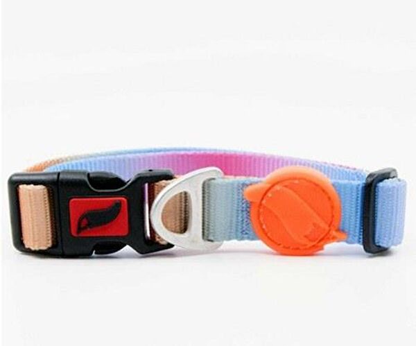 TailPetz Köpek Tasmaları