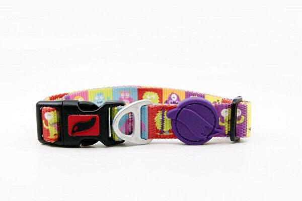 TailPetz Köpek Tasmaları