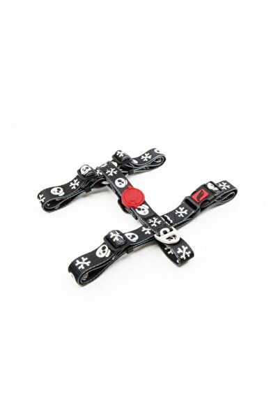 TailPetz Köpek Tasmaları