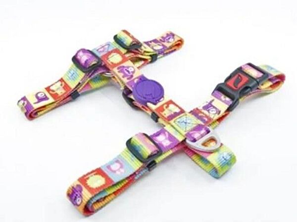 TailPetz Köpek Tasmaları