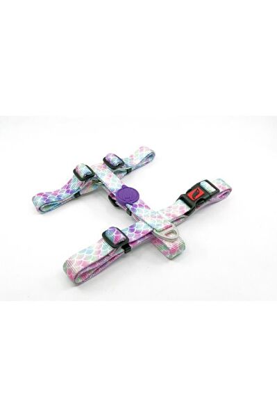 TailPetz Köpek Tasmaları