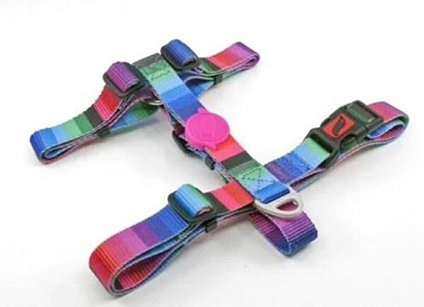 TailPetz Köpek Tasmaları