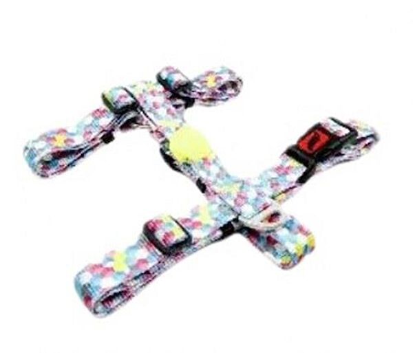 TailPetz Köpek Tasmaları