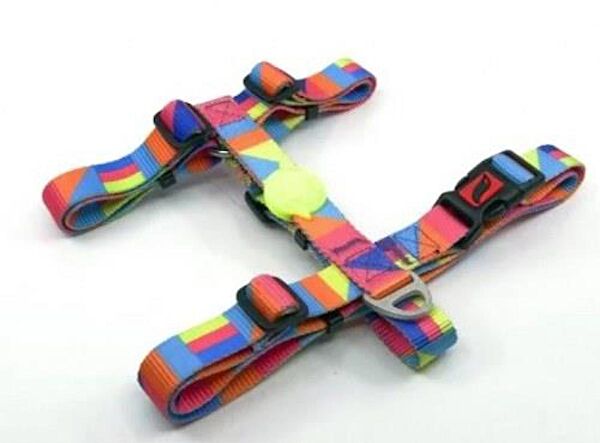 TailPetz Köpek Tasmaları