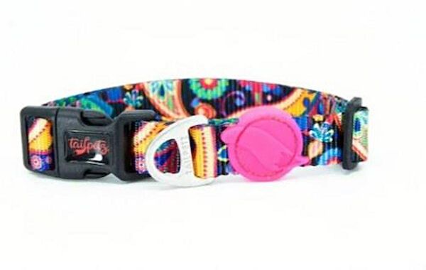 TailPetz Köpek Tasmaları