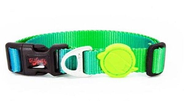 TailPetz Köpek Tasmaları