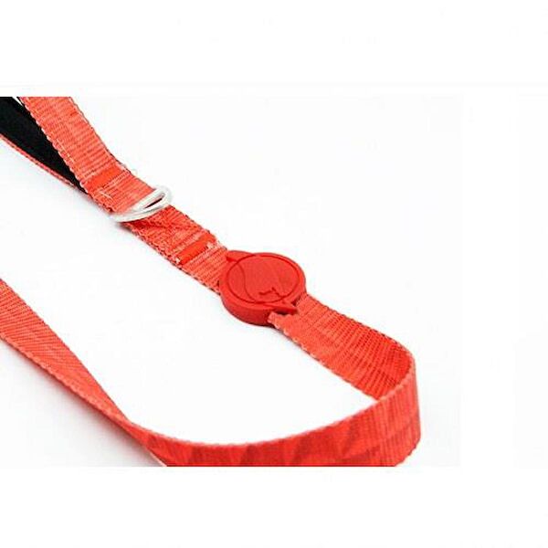 TailPetz Köpek Tasmaları