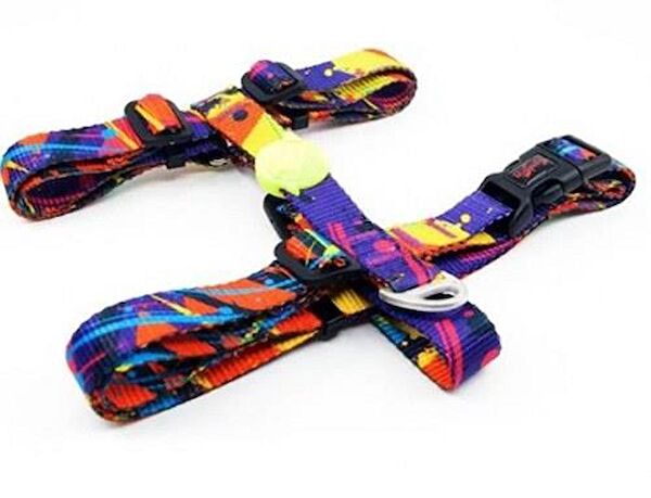 TailPetz Köpek Tasmaları