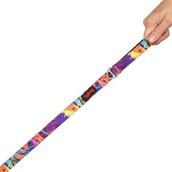 TailPetz Köpek Tasmaları