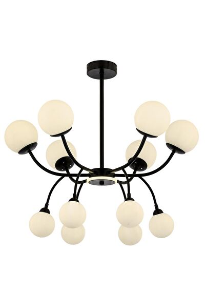 Avonni Avize, Sarkıt