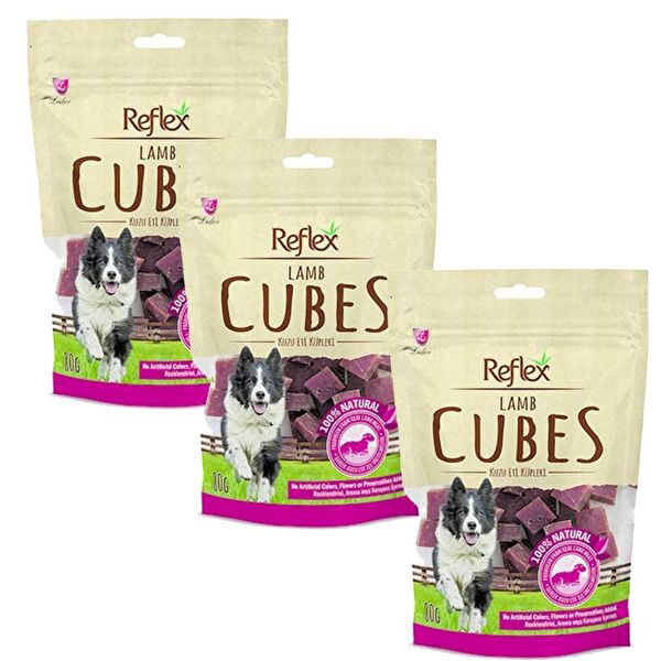 Reflex Köpek Ödülleri