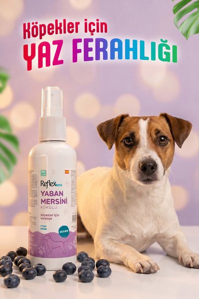 Reflex Köpek Sağlık & Bakım Malzemeleri