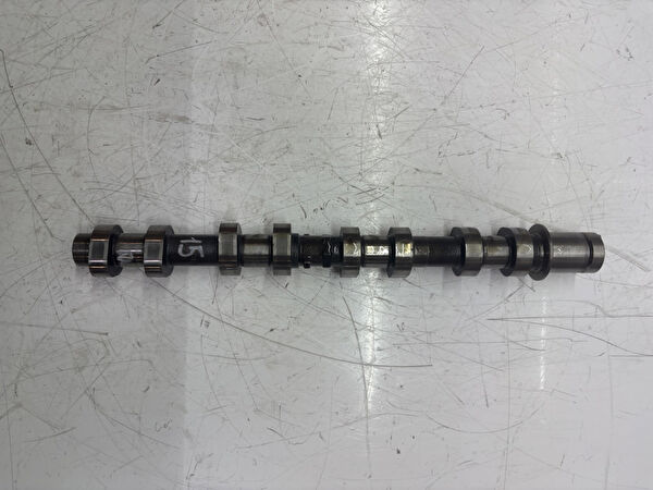 Suzuki Eksantrik Mili