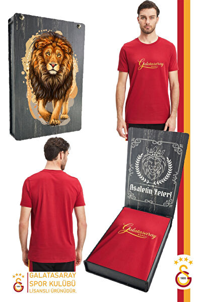 Galatasaray Taraftar Tişört, Sweatshirt