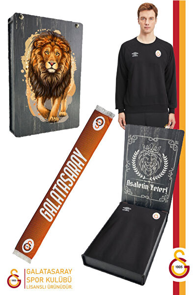 Galatasaray Taraftar Tişört, Sweatshirt