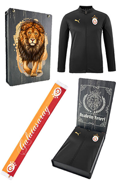 Galatasaray Taraftar Tişört, Sweatshirt