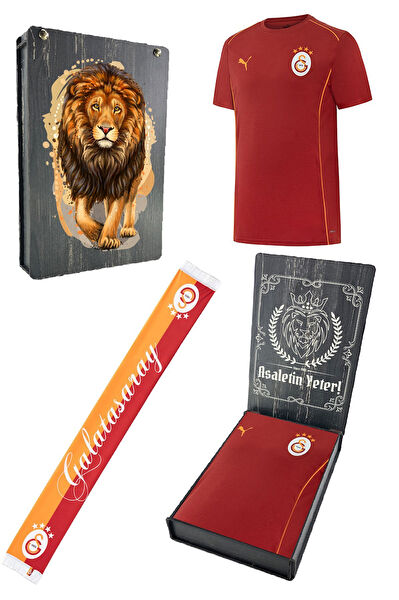 Galatasaray Taraftar Tişört, Sweatshirt