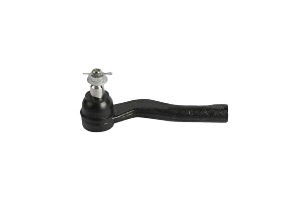 Kraftvoll Rot Başı