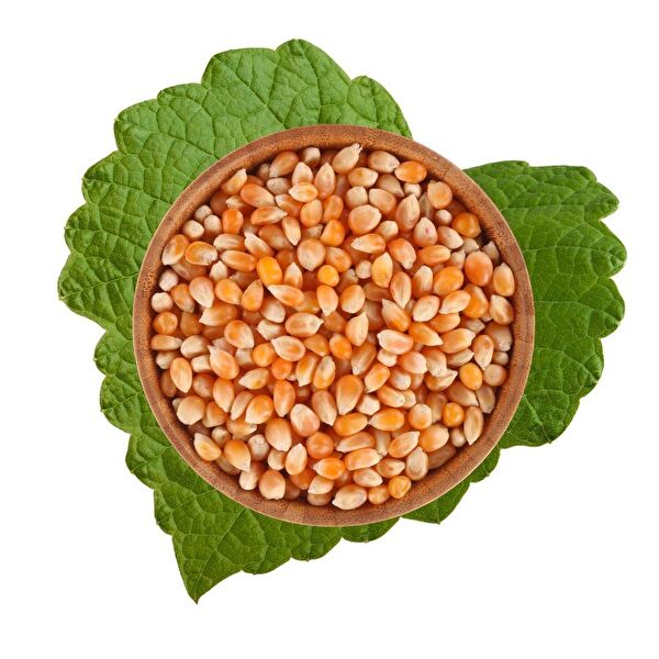 Antik Kuruyemiş Soslu Çerezler