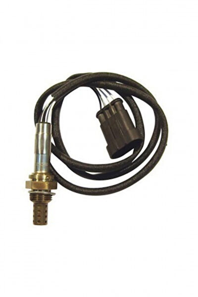 BRUCKE Sensör, Dedektör