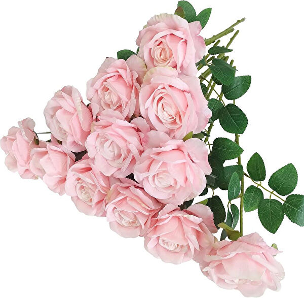 Nettenevime Yapay Çiçek, Meyve