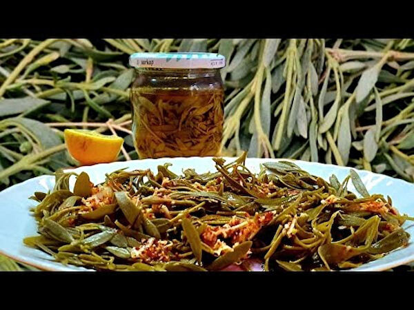 Hatay çiftliği Konserve Sebze