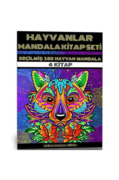 Enine Boyuna Eğitim Aktivite ve Zeka Gelişim Kitapları