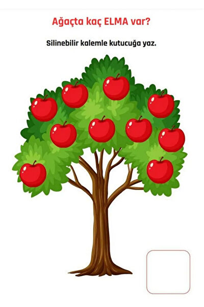 Enine Boyuna Eğitim Ders ve Yardımcı Kaynak Kitapları