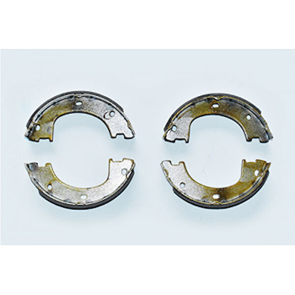 BRAXIS El Freni Kaplamaları