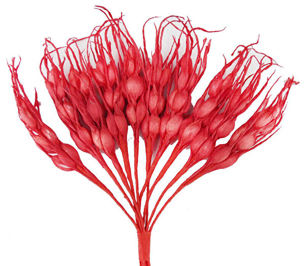 Orhanucuzluk Parti Süsleme Malzemeleri