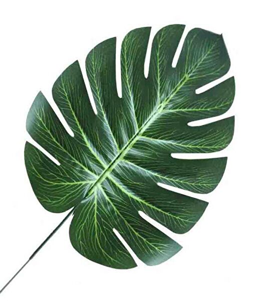 Orhanucuzluk Parti Süsleme Malzemeleri