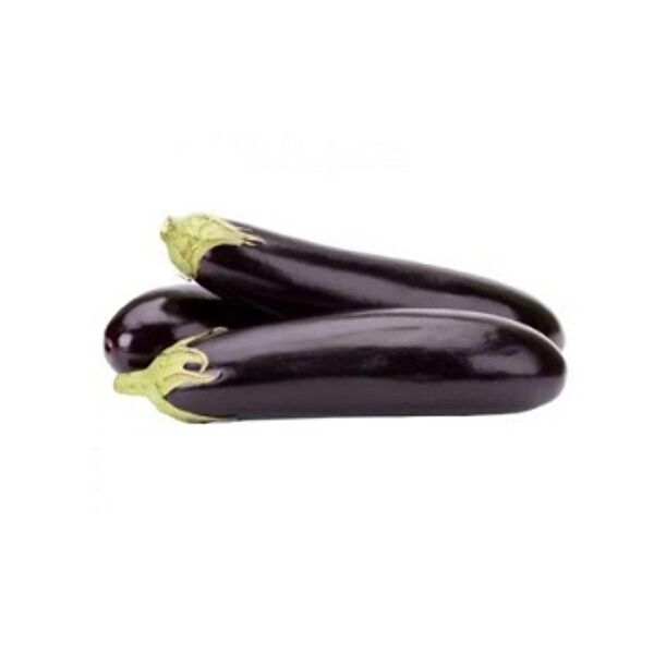 Bursa Tohumculuk Tohum