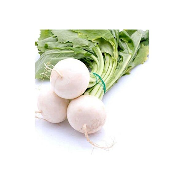 Bursa Tohumculuk Tohum