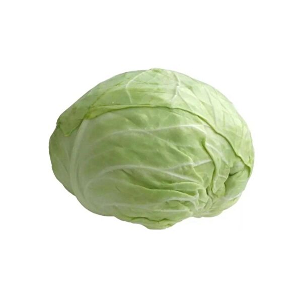 Bursa Tohumculuk Tohum