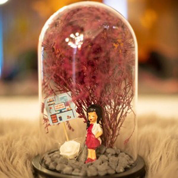 Parla Teraryum, Teraryum Aksesuarları