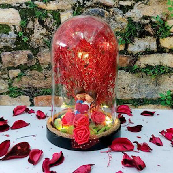 Parla Teraryum, Teraryum Aksesuarları