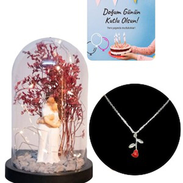 Parla Teraryum, Teraryum Aksesuarları