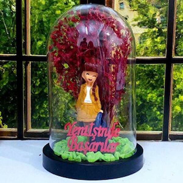 Parla Teraryum, Teraryum Aksesuarları