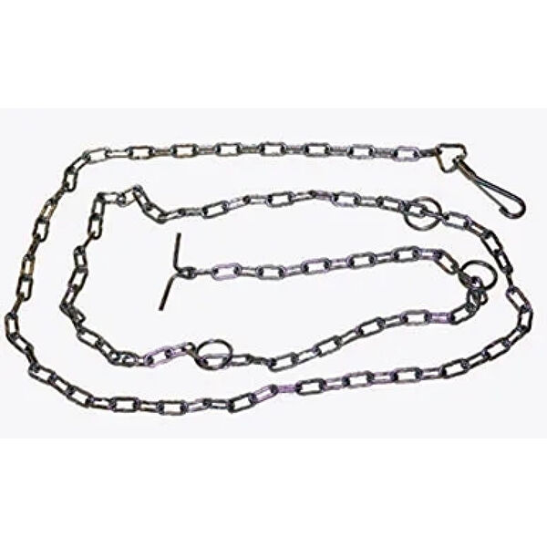 Parla Köpek Tasmaları