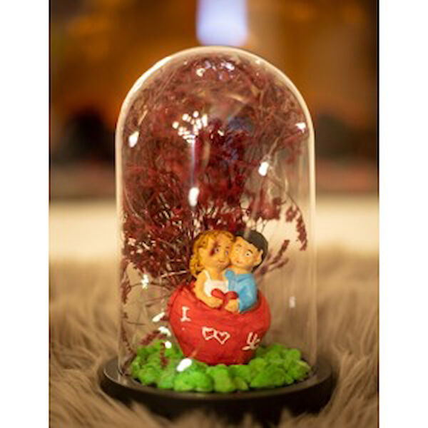 Parla Teraryum, Teraryum Aksesuarları