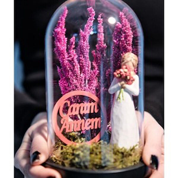 Parla Teraryum, Teraryum Aksesuarları