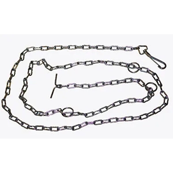 Parla Köpek Tasmaları