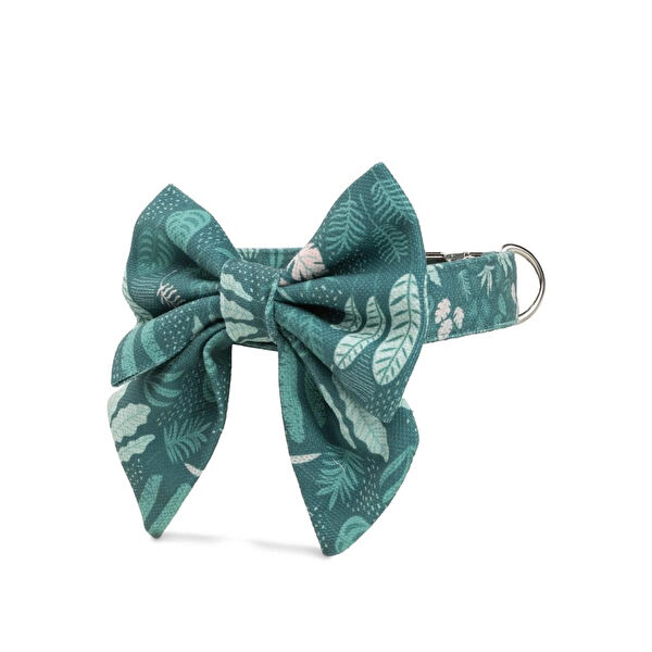 Lusi Doog Köpek Tasmaları