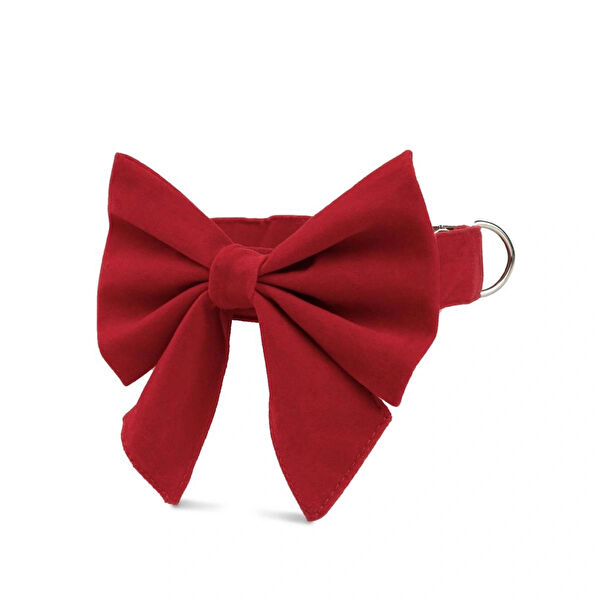 Lusi Doog Köpek Tasmaları