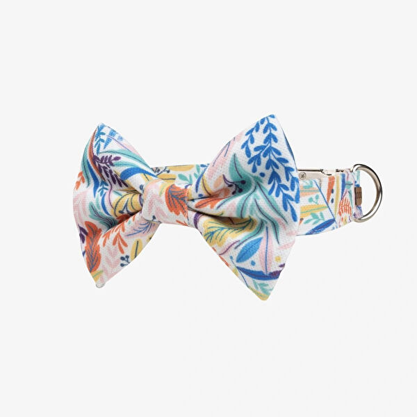 Lusi Doog Köpek Tasmaları