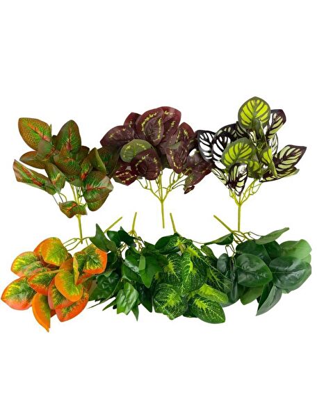 Nettenevime Yapay Çiçek, Meyve