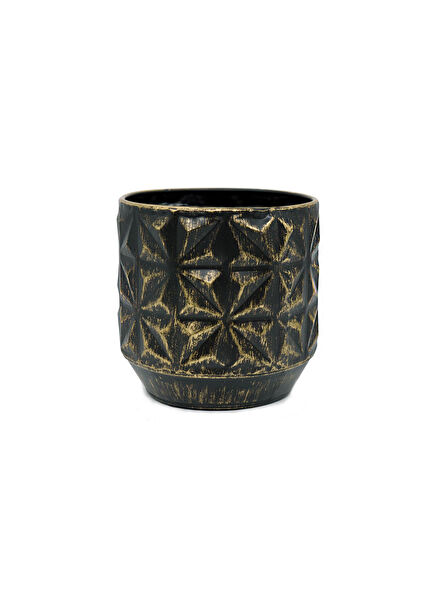 Ter Steege Vazo, Saksı