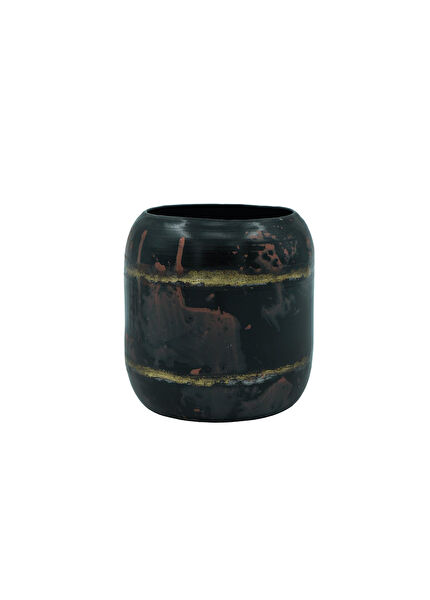 Ter Steege Vazo, Saksı