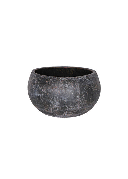 Ter Steege Vazo, Saksı