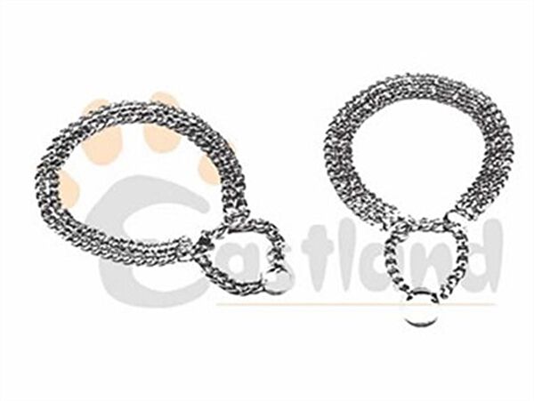 Eastland Köpek Tasmaları